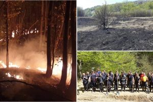 FOTO. Mobilizare de forţe! Incendiu de amploare în judeţul Satu Mare