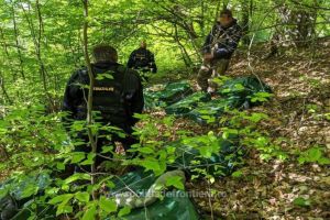 S-a folosit foc de avertisment pentru retinerea persoanelor in cauza: Zeci de mii de pachete cu tigari de contrabanda depistate la granita cu Ucraina (galerie foto)