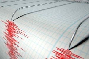 Cutremur PUTERNIC de magnitudinea de 5,0 grade, noaptea trecută, în zona seismică Vrancea