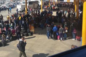 David Ciceo simte că-i fuge pământul de sub picioare. Încearcă prin toate mijloacele să arunce vina pentru cele întâmplate asupra oricui altcuiva