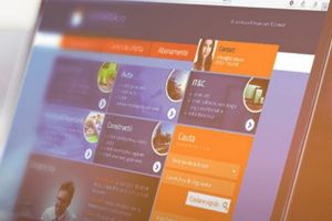 Studiu Licitatia.ro. Impactul Covid-19 asupra achiziţiilor publice făcute în primele 3 luni din 2020
