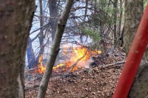 UPDATE FOTO, VIDEO| Continuă intervenţia pompierilor de stingere a INCENDIULUI de vegetaţie şi pădure de la Poşaga. Focul de la Lupşa, stins după două zile