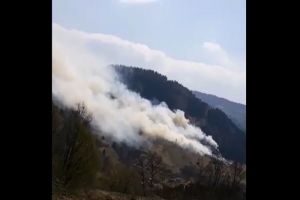VIDEO| Incendii de vegetaţie uscată şi pădure la Ocoliş şi Bistra. Intervin pompierii din Câmpeni cu două autospeciale