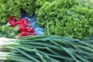 Ne modelăm şi noi după vremuri! Comerţul online cu produse agricole, un succes pe timp de criză