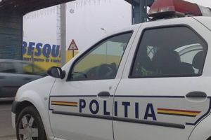Bărbat cercetat penal după ce a fost prins că a tăiat ilegal mai mulţi arbori, în Timiş