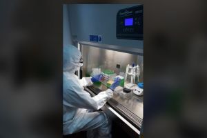 Câte probe pentru suspecţii de Covid-19 s-au testat la Spitalul Judeţean de Urgenţă