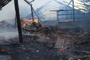 FOTO. Incendiu la un saivan de oi. Construcţie de 500 mp distrusă