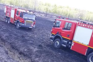 Incendiu de vegetaţie în apropiere de Țăndărei, extins la baza piscicolă şi amenajările de pe malul lacului Strachina