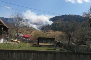 FOTO, VIDEO| Incendiile de pădure din Apuseni, de la Poşaga şi Bistra, au fost stinse. Conutinuă intervenţia la Ocoliş