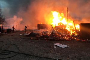 Gater mistuit de flăcări, în condiţii de vânt puternic, la Cornu Luncii