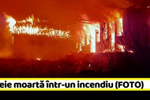 Incendiu în Neamţ. Femeie moartă în propria locuinţă (FOTO)