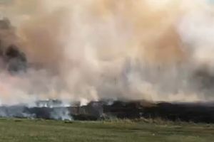 VIDEO Municipiul Botoşani poluat cu funingine de un incendiu de vegetaţie