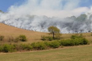 FOTO Incendiu de vegetaţie la Ighişul Nou – Patru ore s-au luptat pompierii cu flăcările