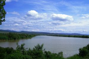Verzii, pescarii şi Bistriţa Civică trag un semnal de alarmă. Sesizare către autorităţi