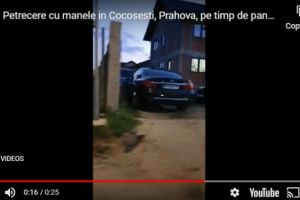 In atentia Primariei si Politiei Paulesti! Locuitorii din Cocosesti, terorizati de o gasca de petrecareti. 