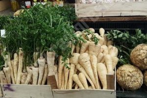 Încă o piaţă agroalimentară deschisă în Mureş!