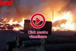 Un gater a ars violent, cu tot cu utilajele şi lemnul din interior