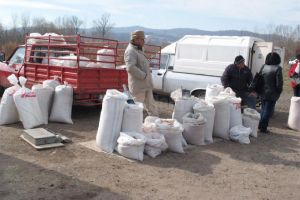Prima zi de târg şi primele controale în piaţa redeschisă sâmbătă la Vicovu de Sus