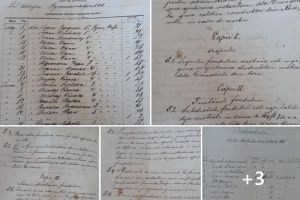 Cum a afectat pandemia de variolă judeţul Bistriţa-Năsăud