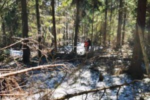 Salvamontiştii maramureşeni au curăţat şi marcat traseele turistice montane. Lucrările de întreţinere, continuă şi în perioada următoare