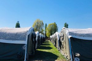 A fost finalizată montarea spitalului militar pentru pacienţii cu COVID-19 de la Stadionul CFR Timişoara
