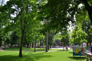 Când s-ar putea redeschide parcurile, hotelurile, restaurantele. Ce restricţii vor rămâne