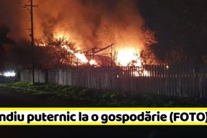 NEAMȚ: Incendiu puternic la o gospodărie (FOTO)
