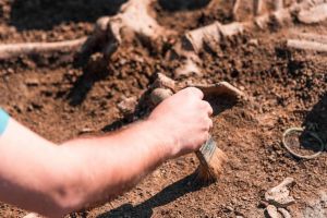 Arheologii au descoperit în zona Freidorf, din Timişoara, morminte din epoca sarmatică, dar şi indicii privind dieta oamenilor din antichitate