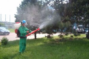 VA INFORMAM CA S.U.P.A.G.L. BRAILA VA EXECUTA TRATAMENTE  DE DEZINSECTIE TERESTRA