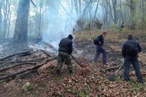 FOTO| INCENDIU de vegetaţie uscată si litieră, pe 10 ha, la Vidolm: Intervin pompierii din Câmpeni şi Aiud