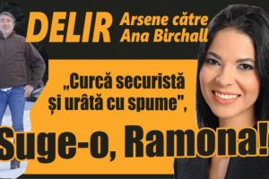 Ionel Arsene şi Ana Birchall, scandal teribil în politica din românia! “Curcă securistă şi urâtă cu spume” vs “exemplu de grobianism”