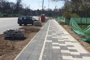 Cum se promovează mersul cu bicicleta în oraşele europene vs. Timişoara. Primarul: Eu stau cam departe să pedalez