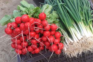 Termenul de înregistrare în agricultura ecologică a fost  prelungit