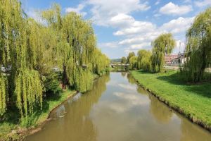 Primăria Sibiu curăţă râul Cibin şi pârâurile din oraş