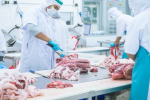 Peste 200 de români infectaţi cu COVID-19 la un abator din Germania