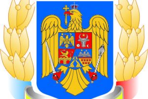 Senat. Propunerea legislativa privind preventia si depistarea precoce a diabetului, adoptata