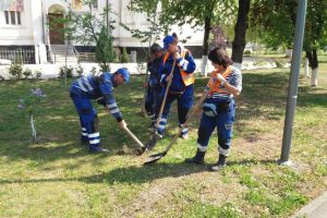 Acţiune de plantare arbori în municipiul Hunedoara