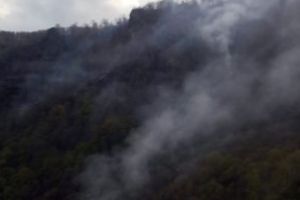 Arde pădurea între Cavnic şi Șurdesti