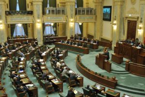 Proiectul privind consolidarea monedei nationale ca moneda unica de plata pe teritoriul Romaniei, adoptat de Senat  