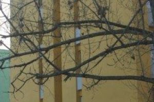 Se pot depune dosarele pentru locuinţe sociale, la Sfântu Gheorghe