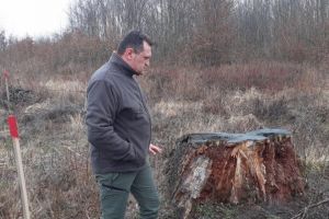 REPORTAJ/ Ovidiubalint.ro: Cu ploaia la braţ, prin pădurile din zona Beliu