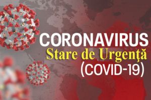 Ședinţă a Colegiului Prefectural, adaptată la starea de urgenţă