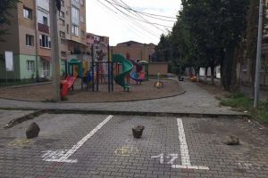 FOTO ȘTIREA TA: Bolovanii, noul trend pentru rezervarea locurilor de parcare în Alba Iulia