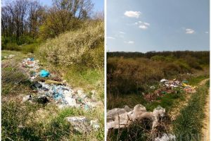Ne enervează: Oraşul Marghita, înconjurat de gunoaie (FOTO)