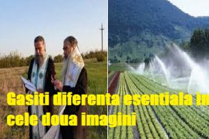 Seceta a venit iar noi avem irigatii doar pentru a ne umezi buricul degetelor / Noroc cu agheasma aruncata de preoti pe camp!?