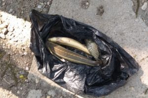 Braconaj piscicol. Șase persoane, prinse in flagrant! 