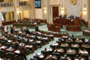 Senatul refuză înfiinţarea Ținutului Secuiesc