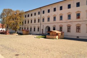 Dezinfecţie cu tâlc: De ce vrea directoarea Muzeului Cetăţii Oradea să facă „curăţenie” prin birouri