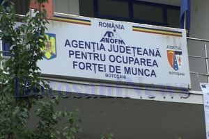 AJOFM Botoşani: 1.457 persoane angajate în primul trimestru al anului 2020