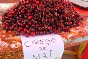 Pandemia scumpeşte tot! Care va fi preţul unui kilogram de cireşe în luna mai